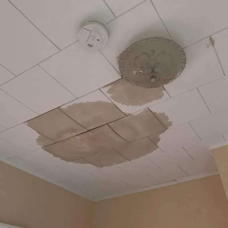 Ceiling Water Damage Repair in Shiloh, OH