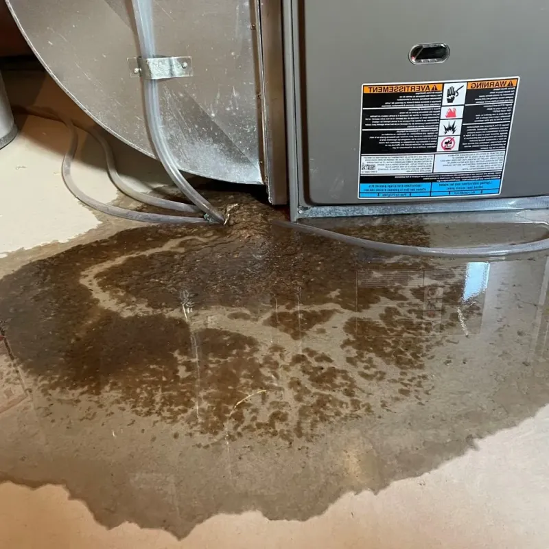 Pipe Burst and Leak Restoration in Shiloh, OH