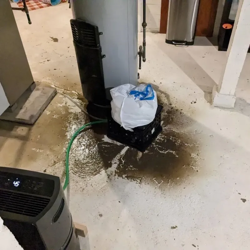 Sewage Backup Cleanup Service in Shiloh, OH